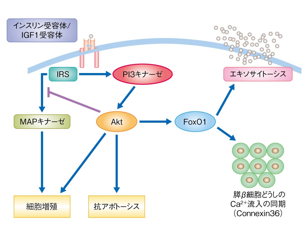 図2