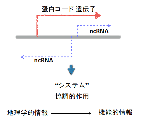 図3