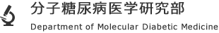 分子糖尿病医学研究部