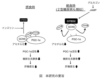 本研究の概要